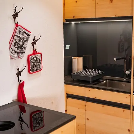 Elsa Apartamento Arosa